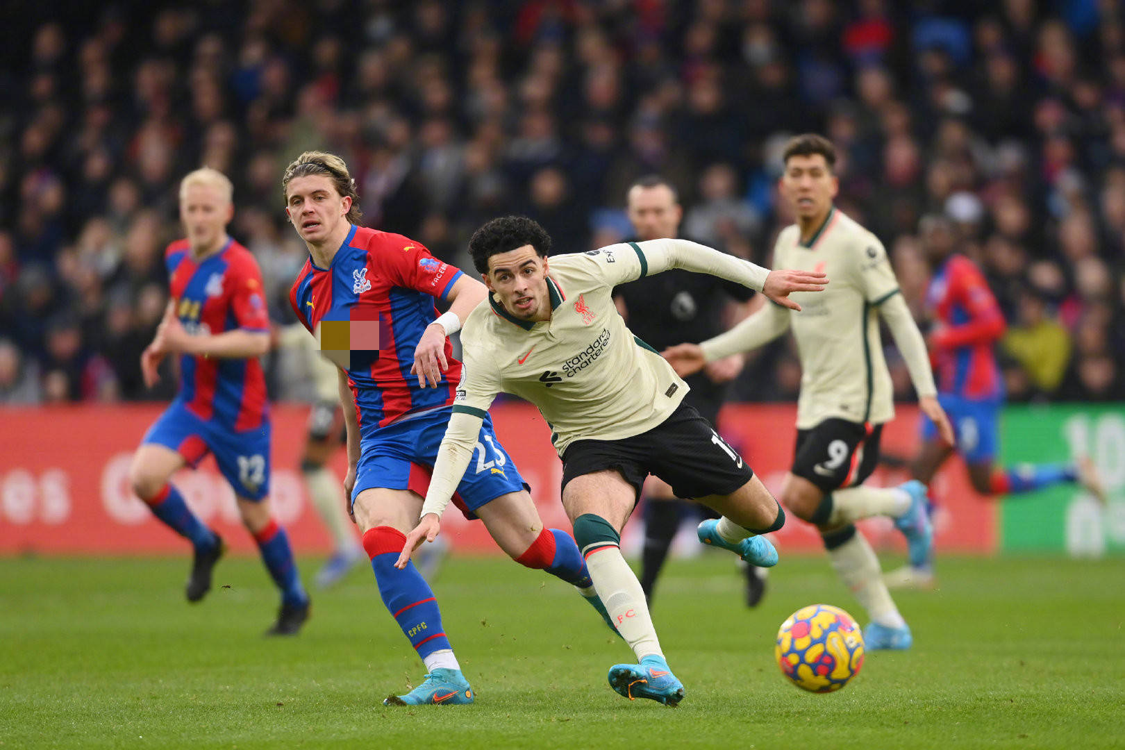 尽管他们出 尽管他们出